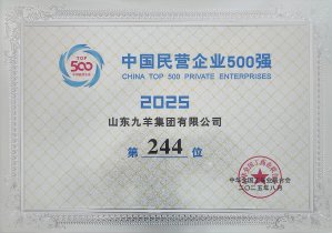 2025年中國民營企業(yè)500強(qiáng)244位