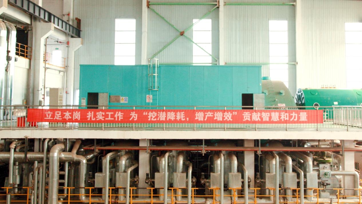 1723766716599017900.jpeg 5.jpeg